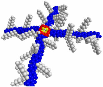 高分子 高分子